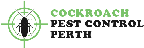 Cockroach Treatment Perth 
